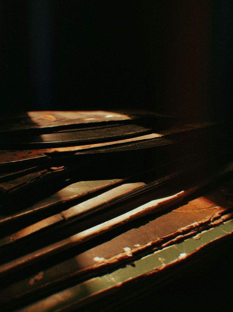 Pelo Perfetto Toelettatura - Image 15